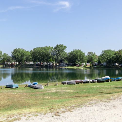 Peaceful lake with rowboats and paddle boats, perfect for relaxing or exploring on the water.