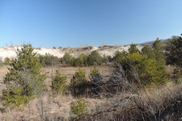 West Beach Trail Loop