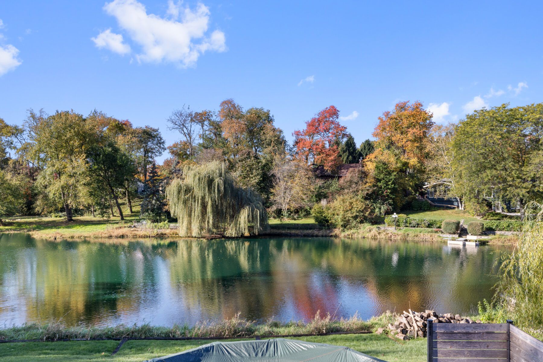 Welcome to the Willows!