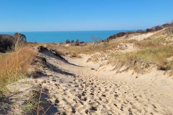 Warren Dunes State Park