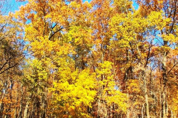 Krueger Memorial Park