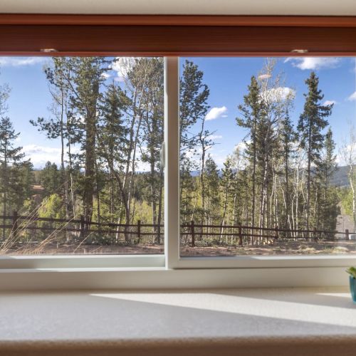 Mountain views from lower level bedroom