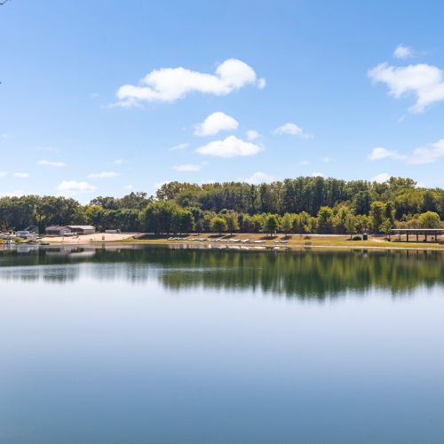 Enjoy serene, scenic views of the lake right from the Funky Turtle property, perfect for relaxing and taking in nature.