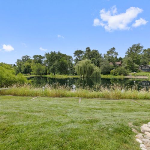 Back yard view of the pond.