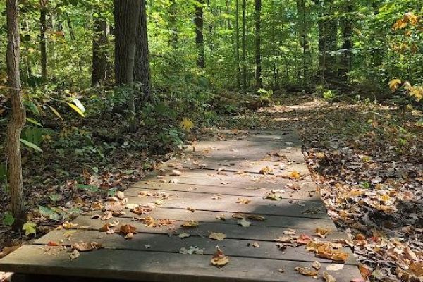 Ambler Flatwoods Nature Preserve