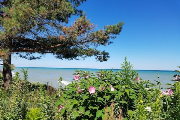 Beverly Shores