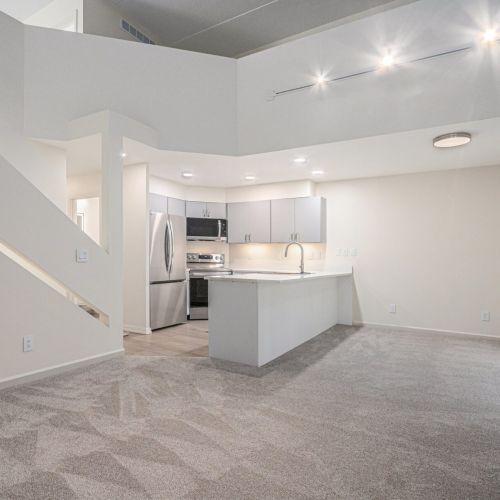 Spacious open concept living room and kitchen area.