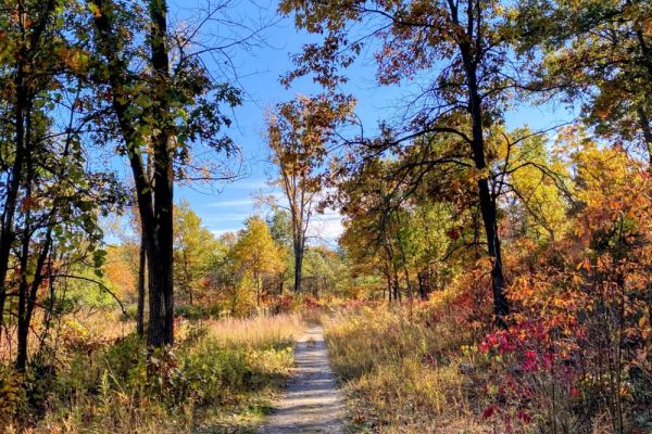 Tolleston Dunes Trail
