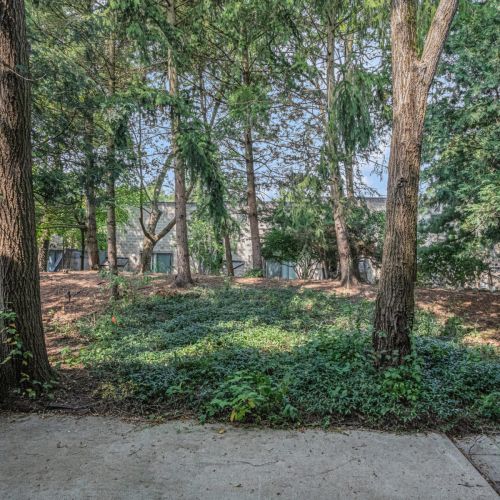 Back patio offering a peaceful outdoor space to relax and enjoy fresh air.