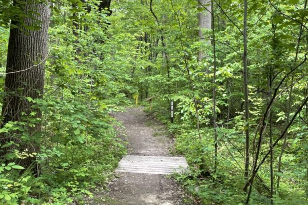 Turtle Creek Preserve
