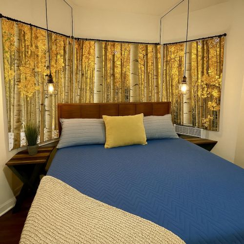 Enjoy the master bedroom with attached bathroom, The king bed has a comfortable mattress & two side tables.  There is also a dresser, closet and Smart TV