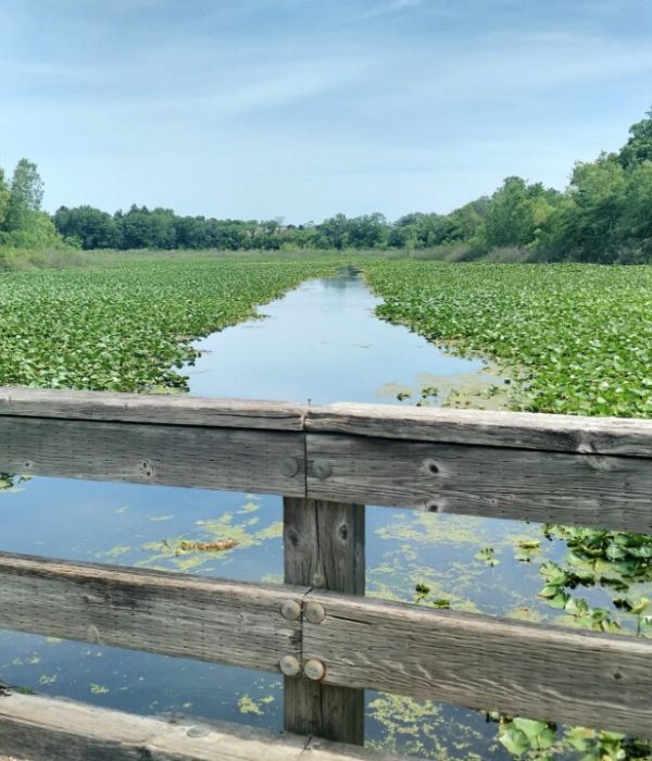 Soldiers Memorial Park MTM Premier Property Management