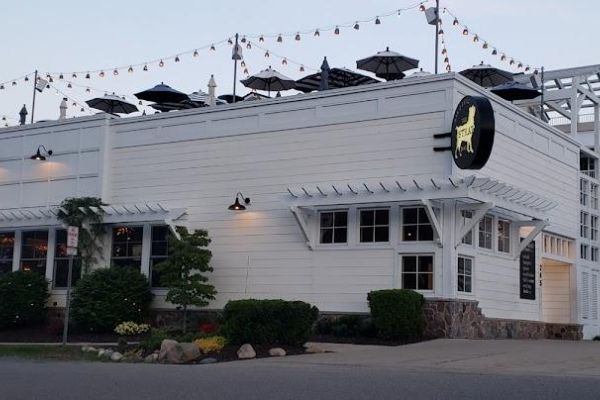 Stray Dog Bar & Grill