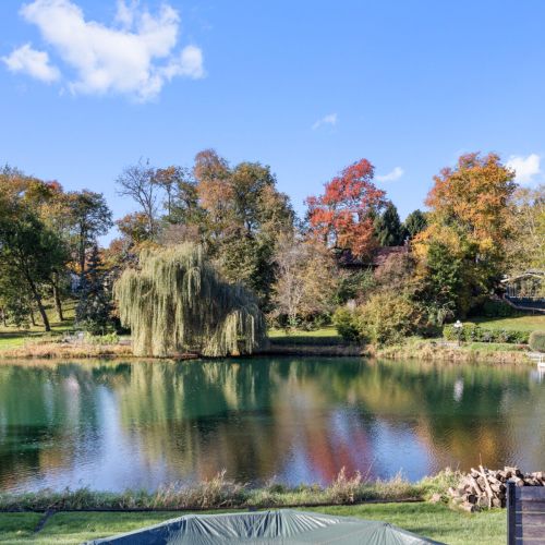 Welcome to the Willows!