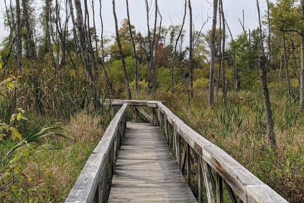 Spicer Lake Nature Preserve