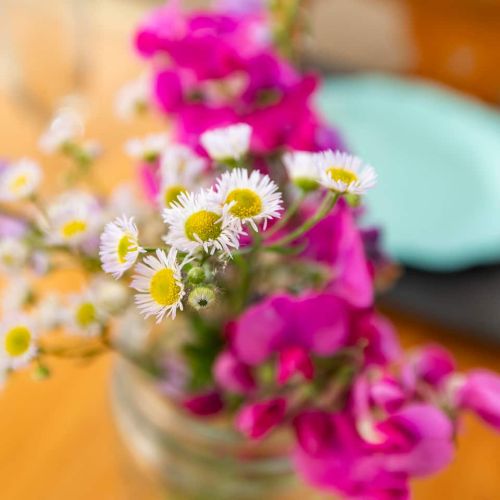 Fresh flowers in the summer time in the dining area