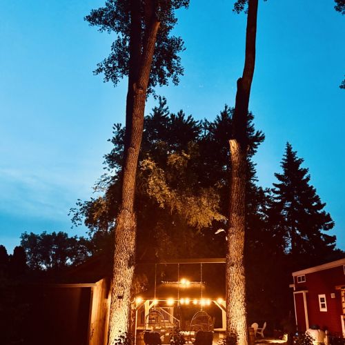 Nighttime view of large trees with lights, adding charm and a cozy glow to the outdoor space.